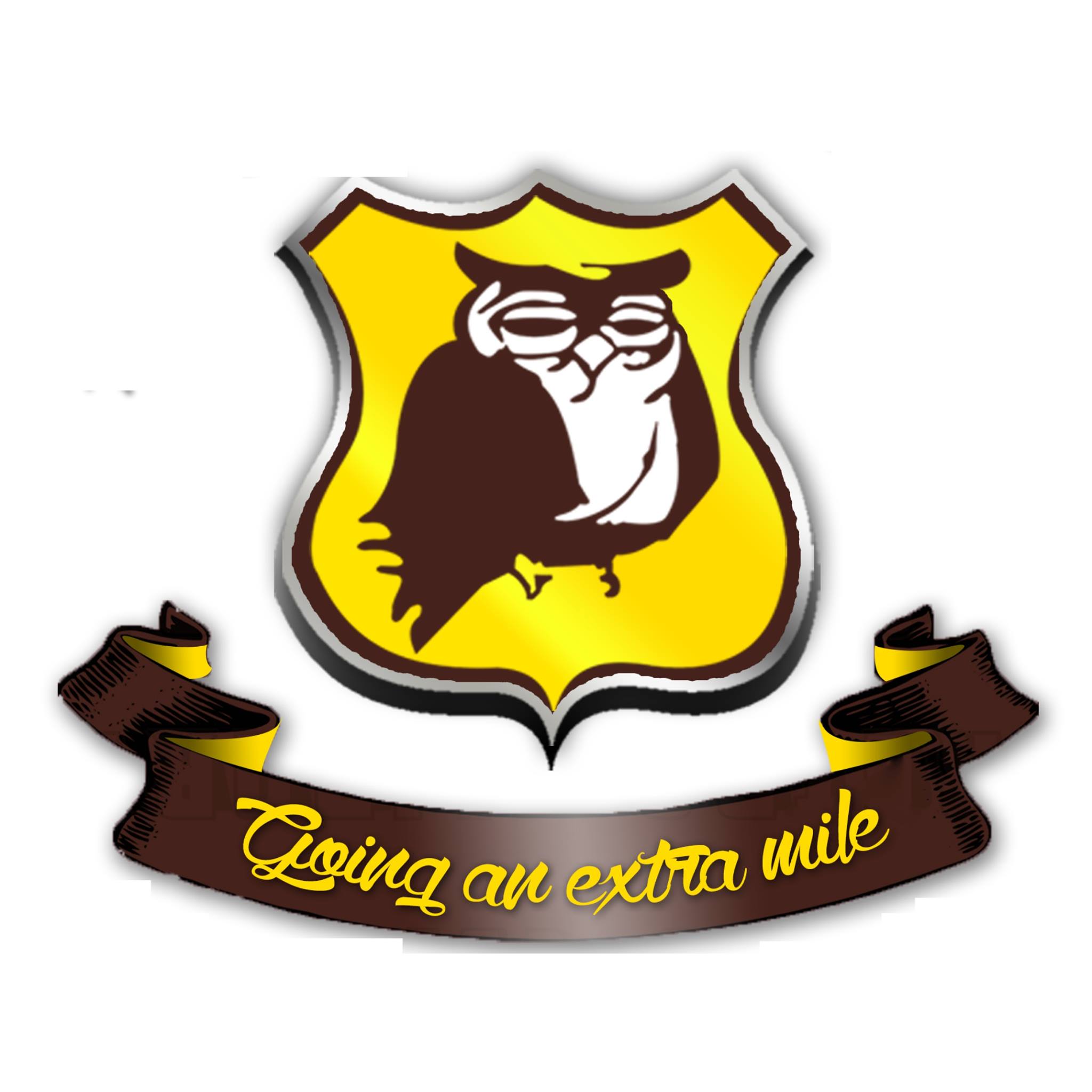 Wiseowl High School logo